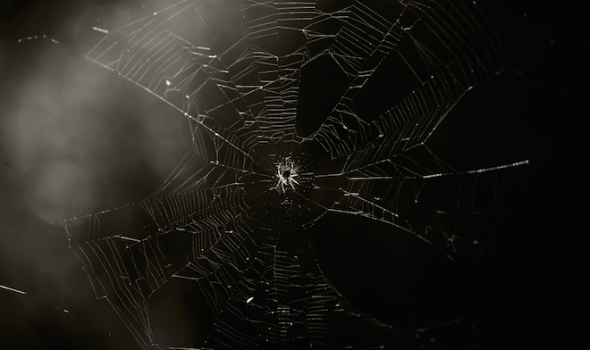 tor definition dark web