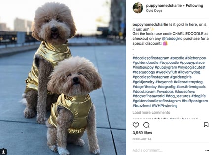 Charlie and Sawyer sponsored post for Fab Dog Inc