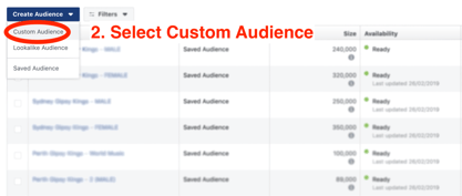 blur custom audience-1