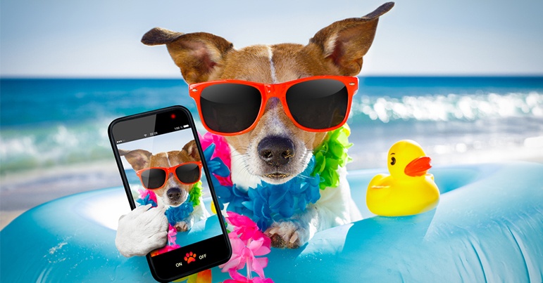 dogwithphone